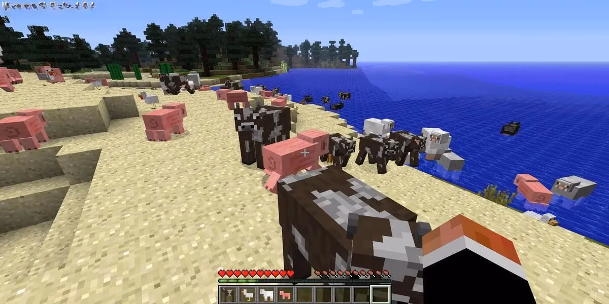 i-played-minecraft-the-wrong-way-and-found-my-real-adventure-image-6
