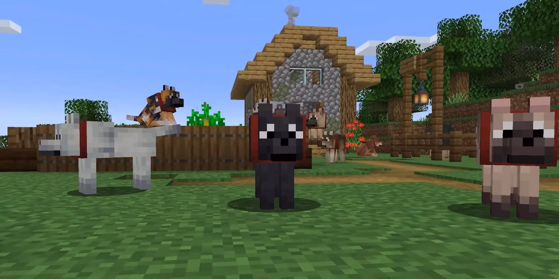 minecraft-wolf-update-2025-9-new-variants-armor-changes-finally-arrive-image-0