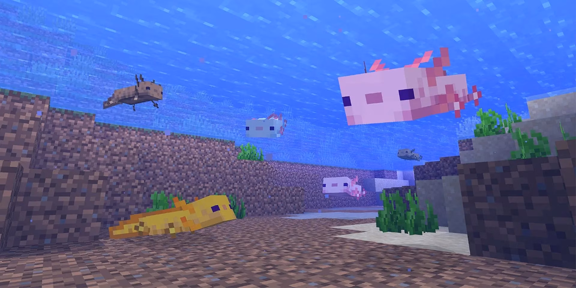 my-ultimate-guide-to-finding-and-breeding-the-rare-blue-axolotl-in-minecraft-2025-image-4