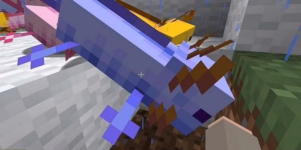 my-ultimate-guide-to-finding-and-breeding-the-rare-blue-axolotl-in-minecraft-2025-image-7